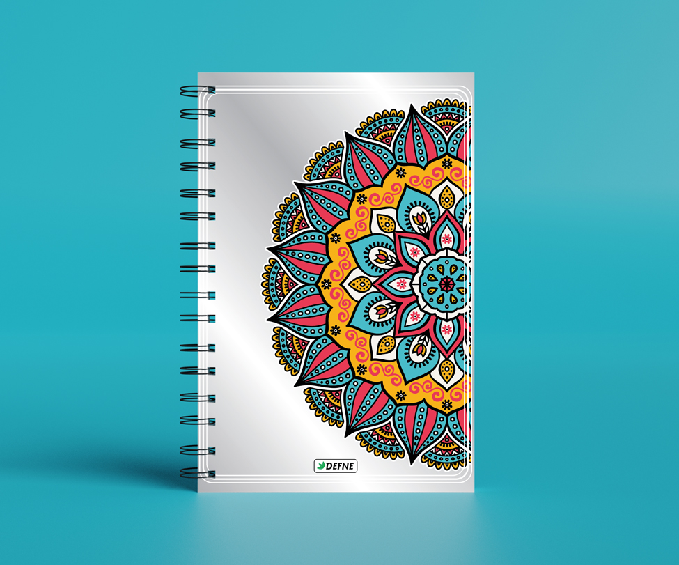 Defne Defter